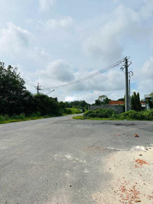 4321187 ảnh đại diện 1