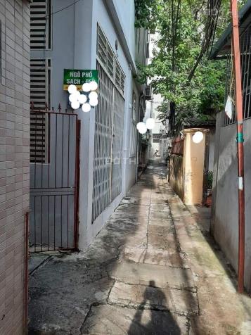 4321464 ảnh đại diện 2