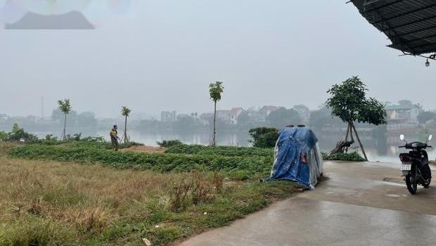 4321867 ảnh đại diện 2