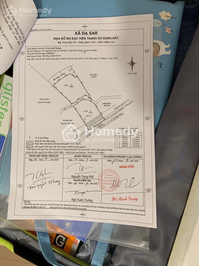 4322619 ảnh đại diện 1