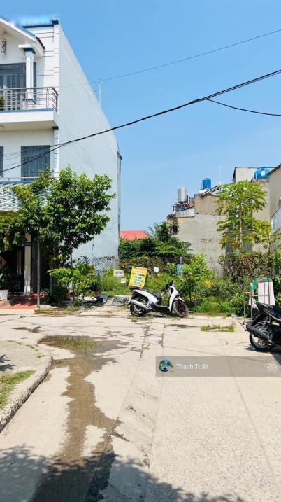 4321753 ảnh đại diện 1