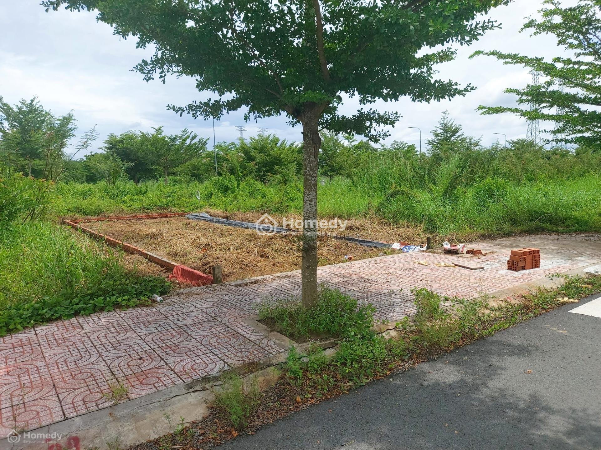 4321715 ảnh đại diện 2