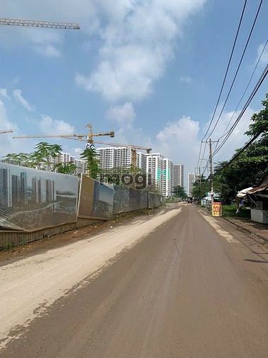 4321642 ảnh đại diện 1