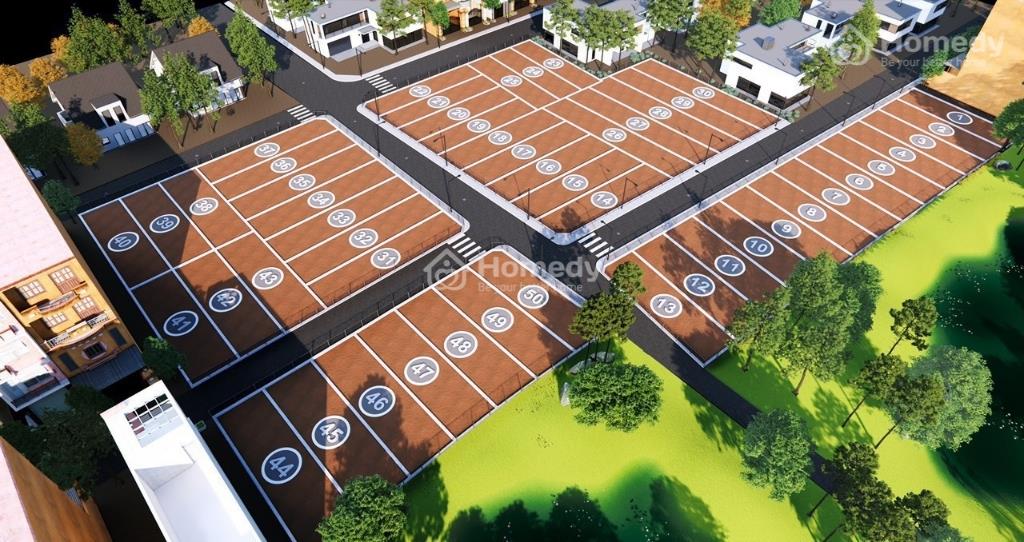 4321256 ảnh đại diện 1