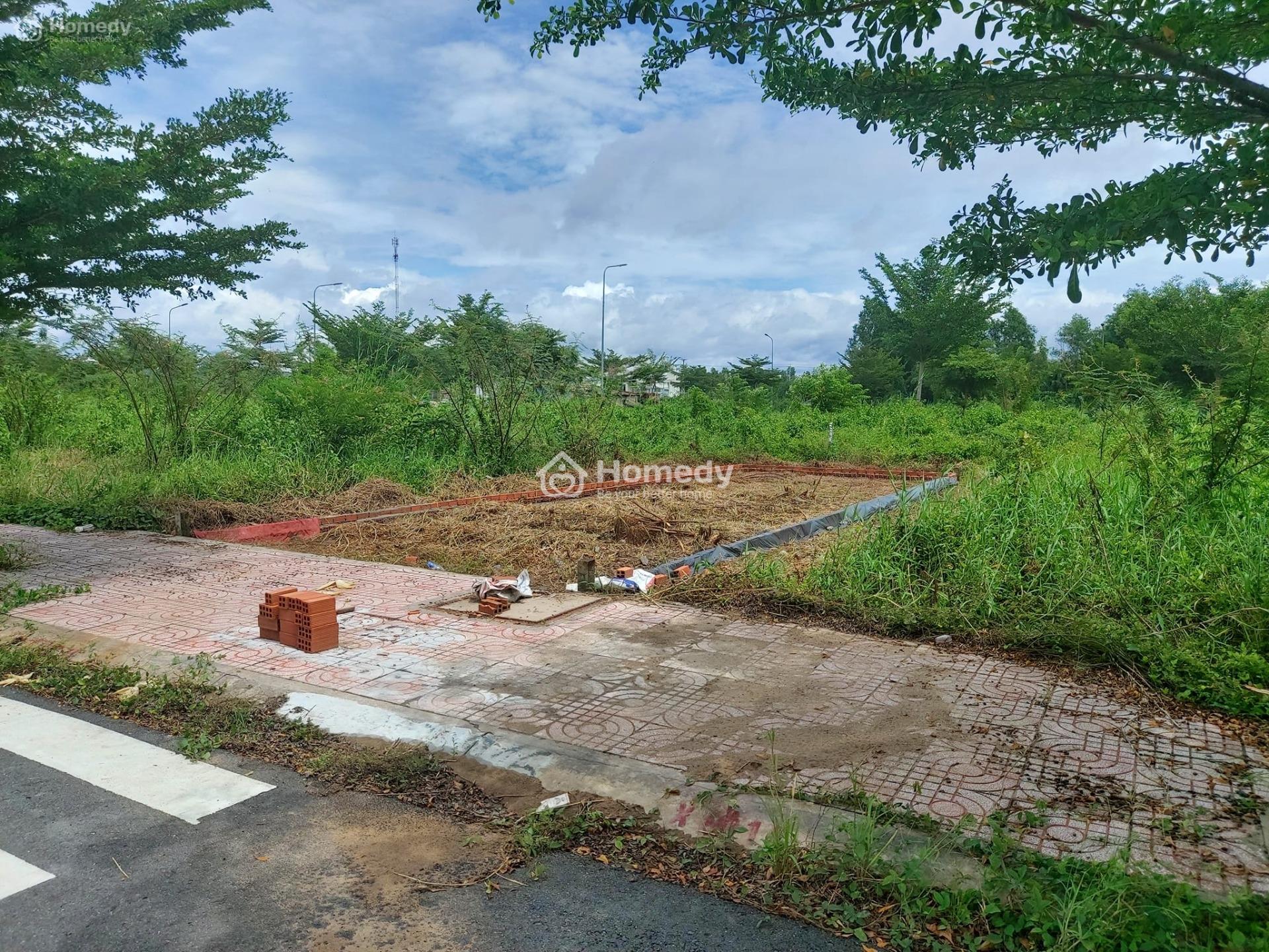 4321715 ảnh đại diện 1