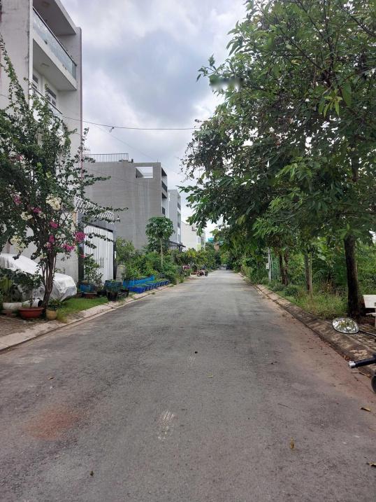 4321569 ảnh đại diện 1