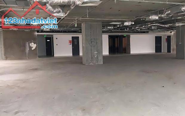 4321120 ảnh đại diện 2