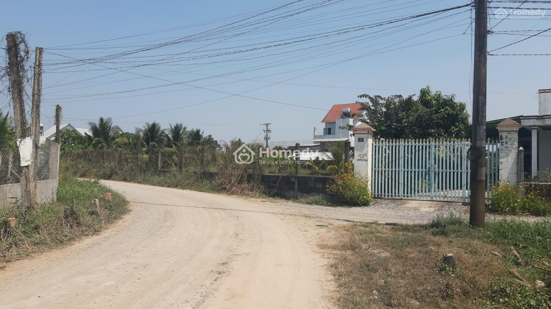 4321712 ảnh đại diện 2