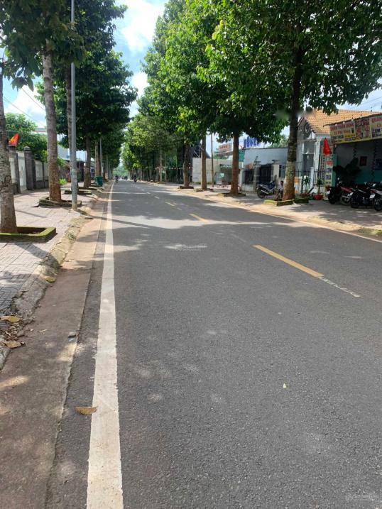 4320973 ảnh đại diện 1