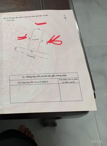 4320956 ảnh đại diện 1