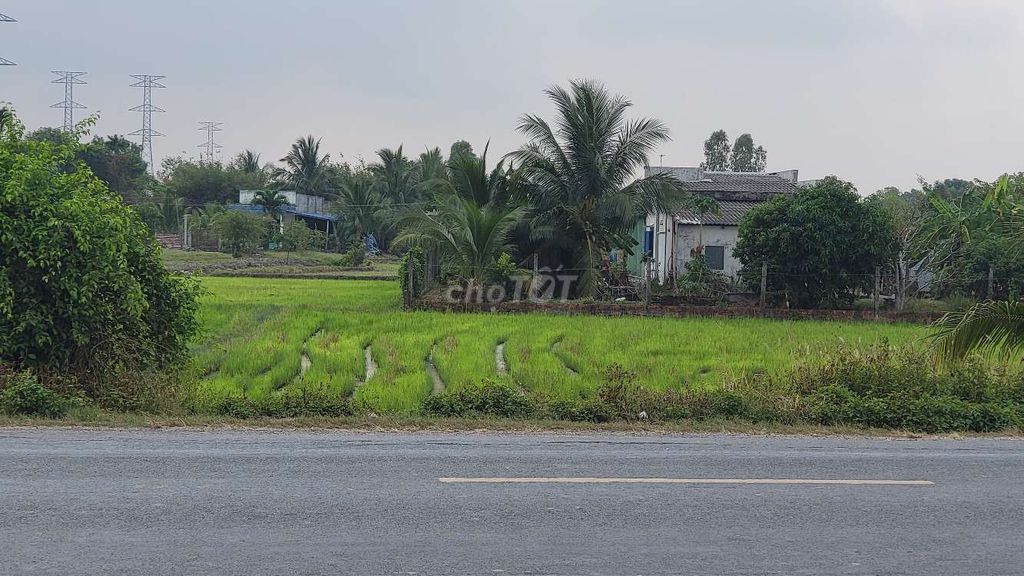 4322013 ảnh đại diện 2