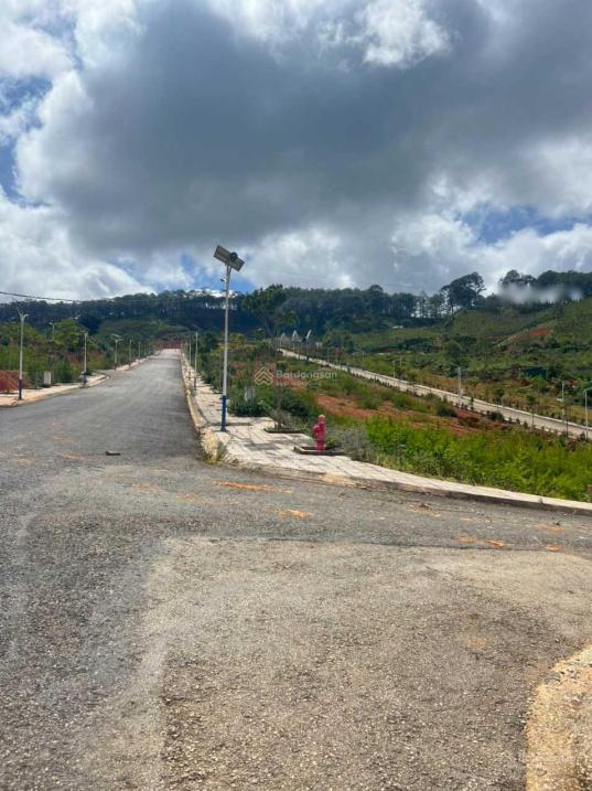 4322615 ảnh đại diện 1