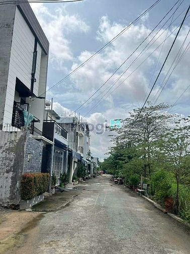 4321642 ảnh đại diện 1