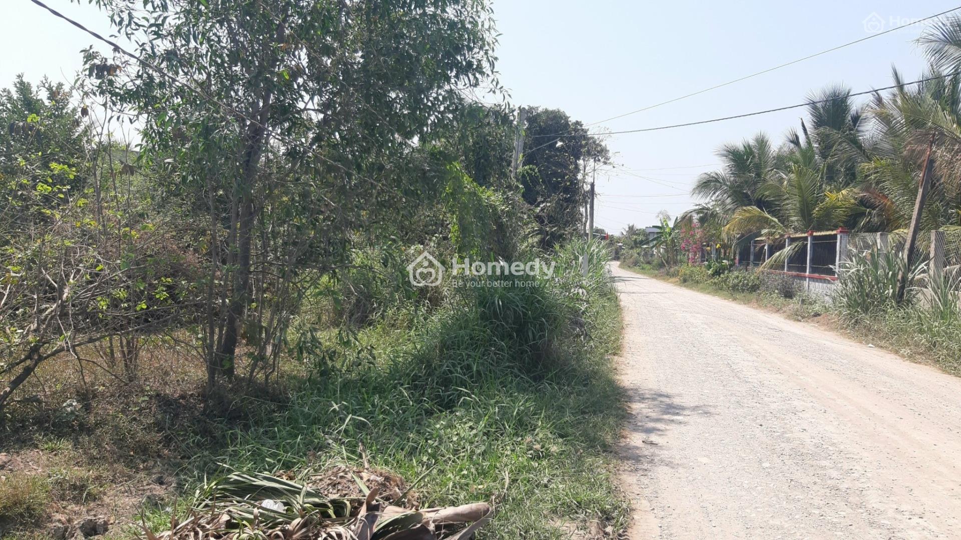 4321712 ảnh đại diện 1