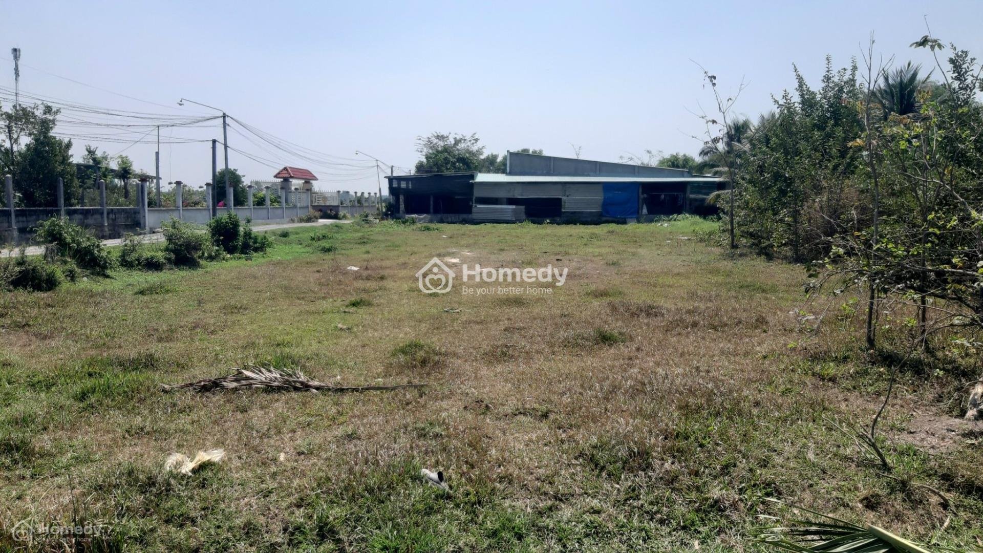 4321712 ảnh đại diện 1