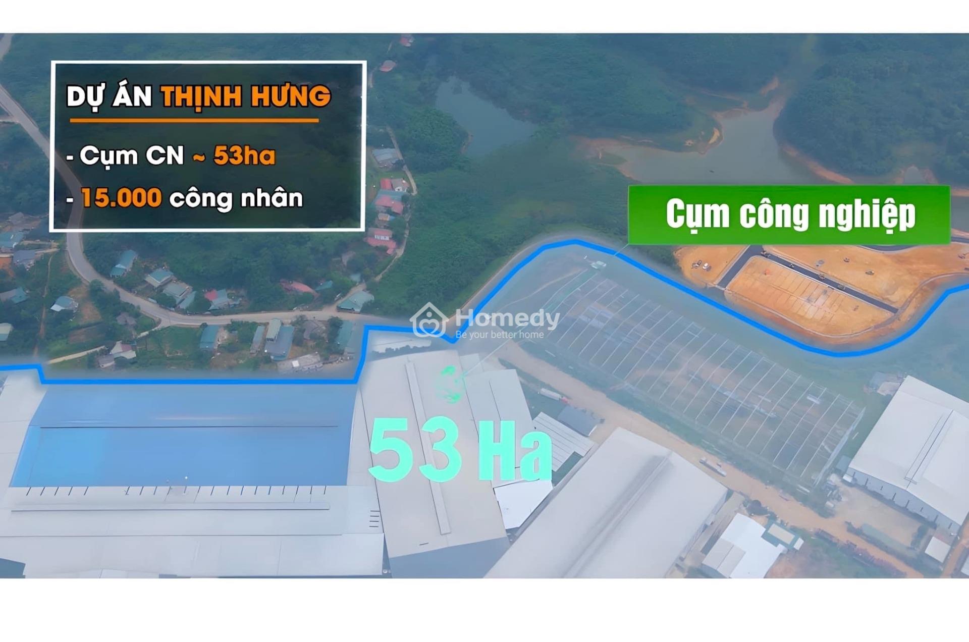 4321847 ảnh đại diện 2