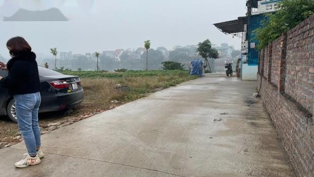 4321867 ảnh đại diện 1