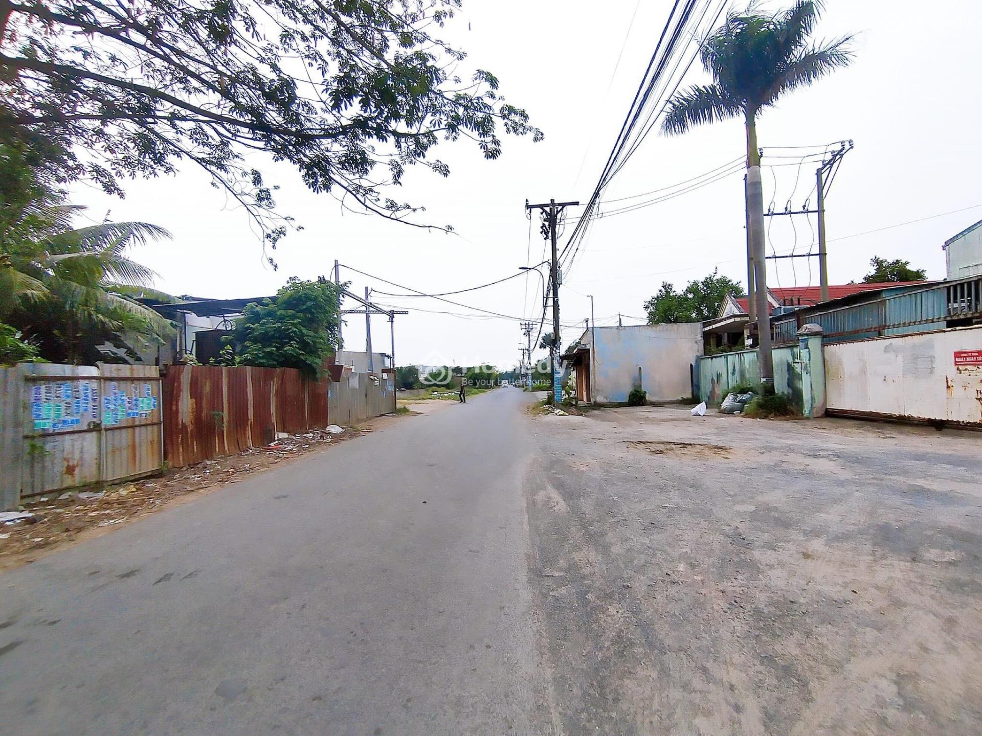 4321169 ảnh đại diện 1