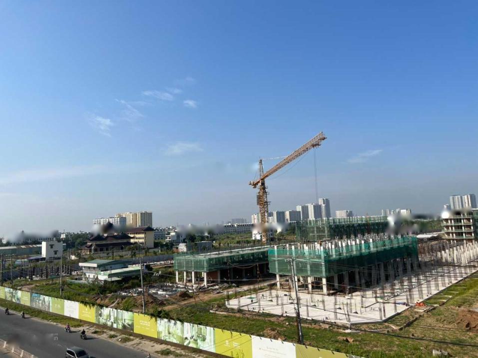 4321553 ảnh đại diện 2