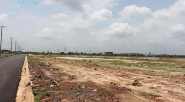 4321831 ảnh đại diện 2