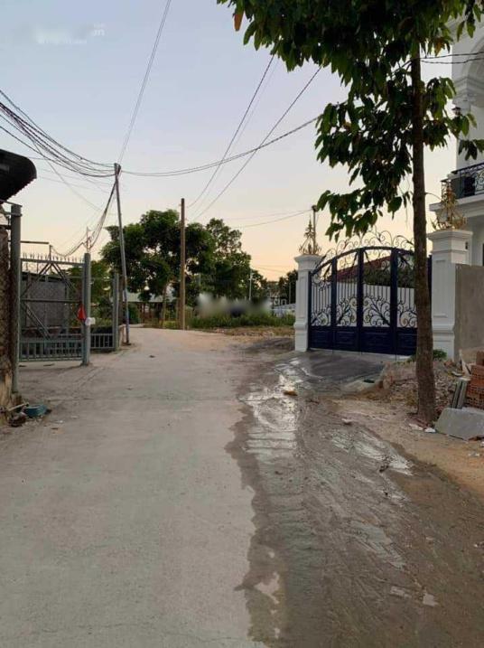 4322534 ảnh đại diện 1