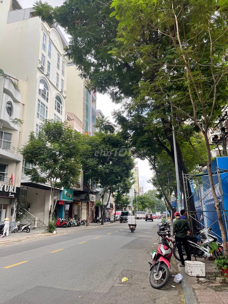 4325026 ảnh đại diện 2