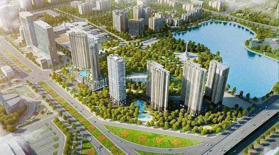 4325581 ảnh đại diện 1
