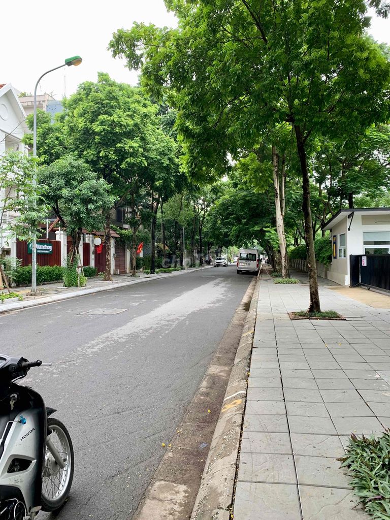 4324454 ảnh đại diện 1