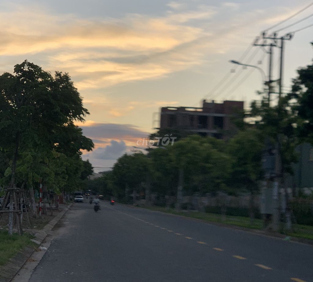 4325716 ảnh đại diện 2