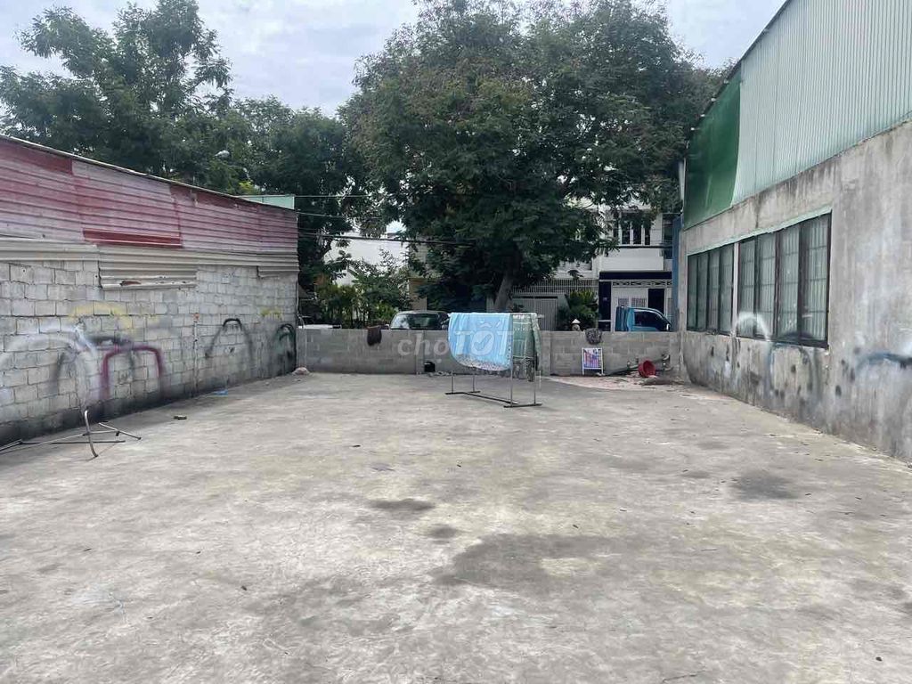 4324054 ảnh đại diện 2