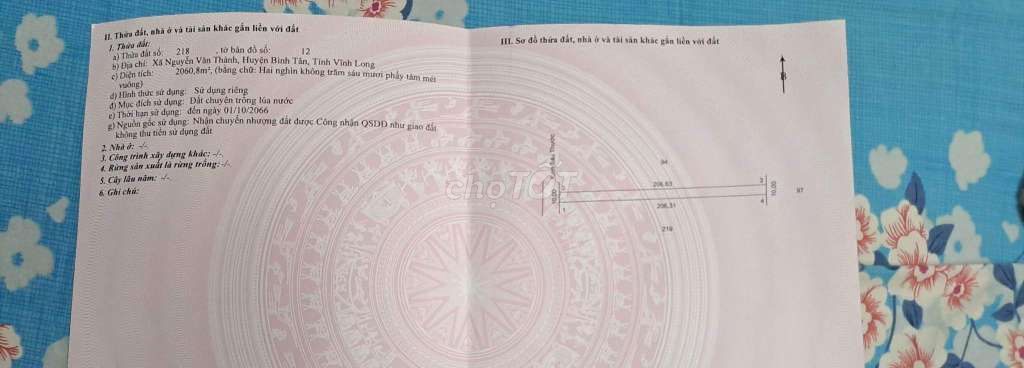 4325141 ảnh đại diện 2