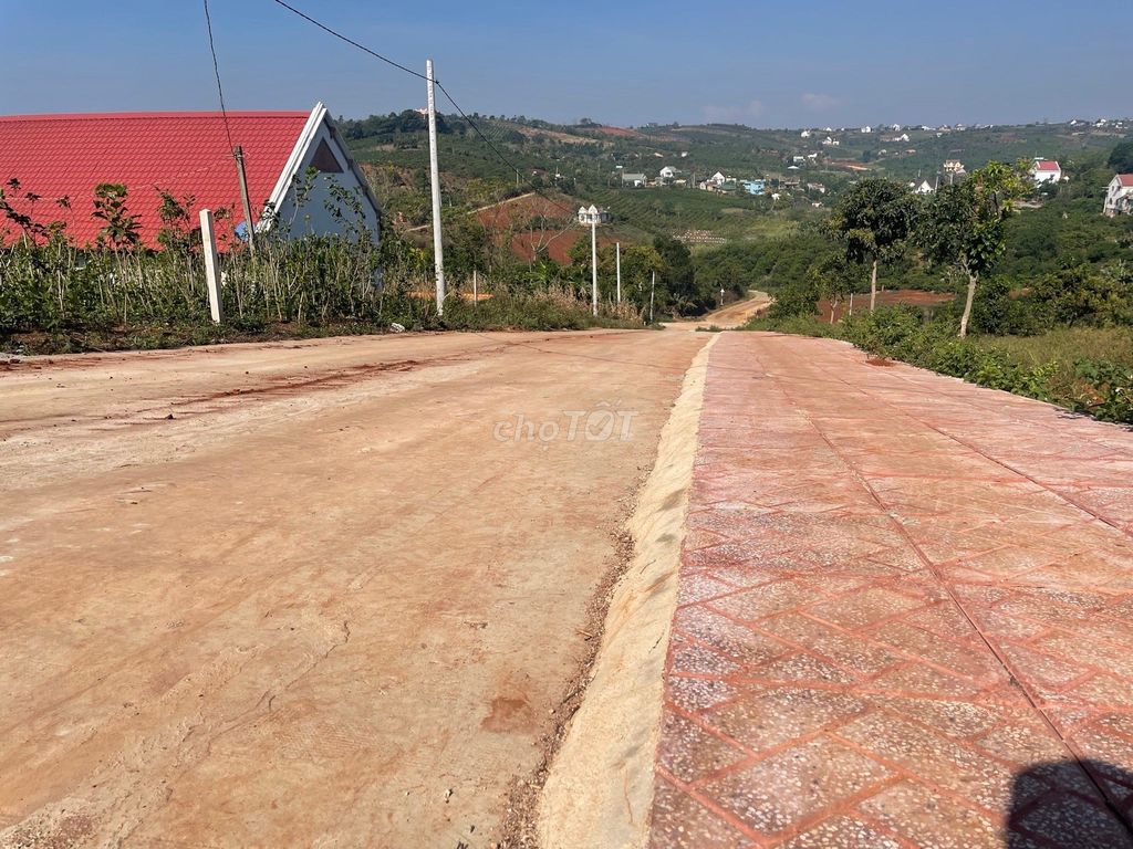 4323730 ảnh đại diện 1