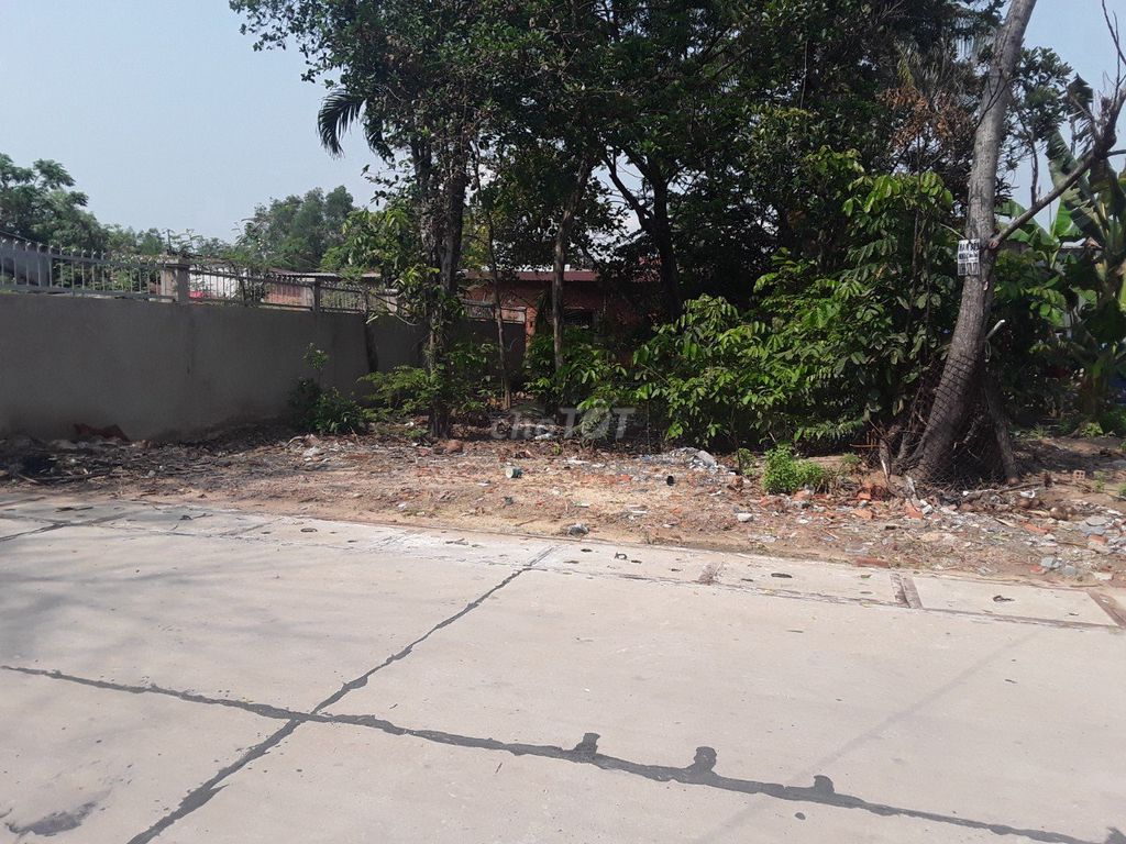 4326950 ảnh đại diện 2