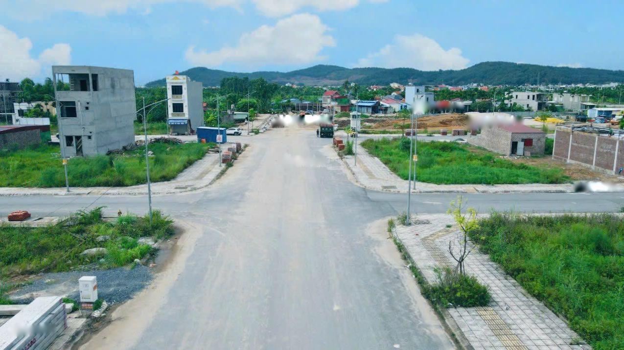4323211 ảnh đại diện 2