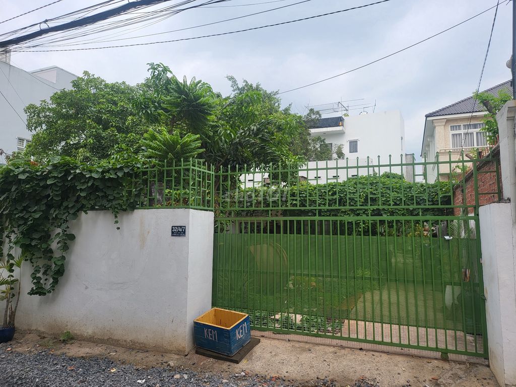 4324951 ảnh đại diện 1
