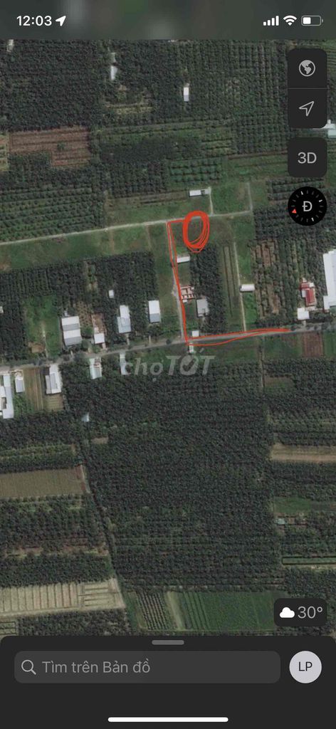 4327247 ảnh đại diện 2