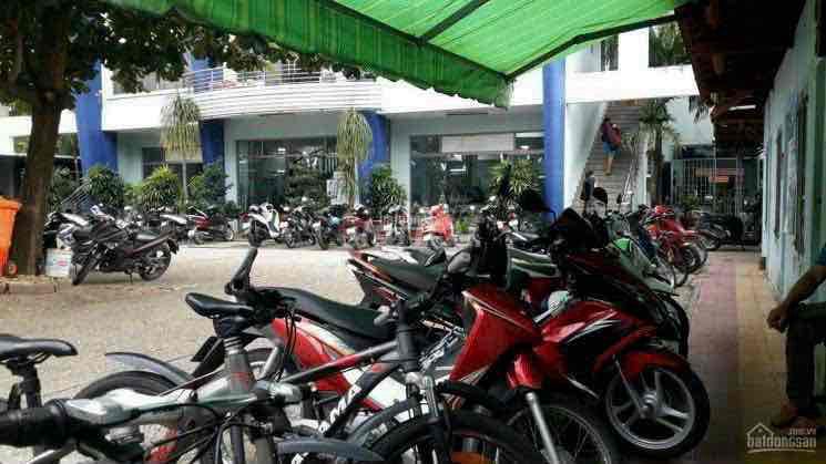 4324311 ảnh đại diện 2
