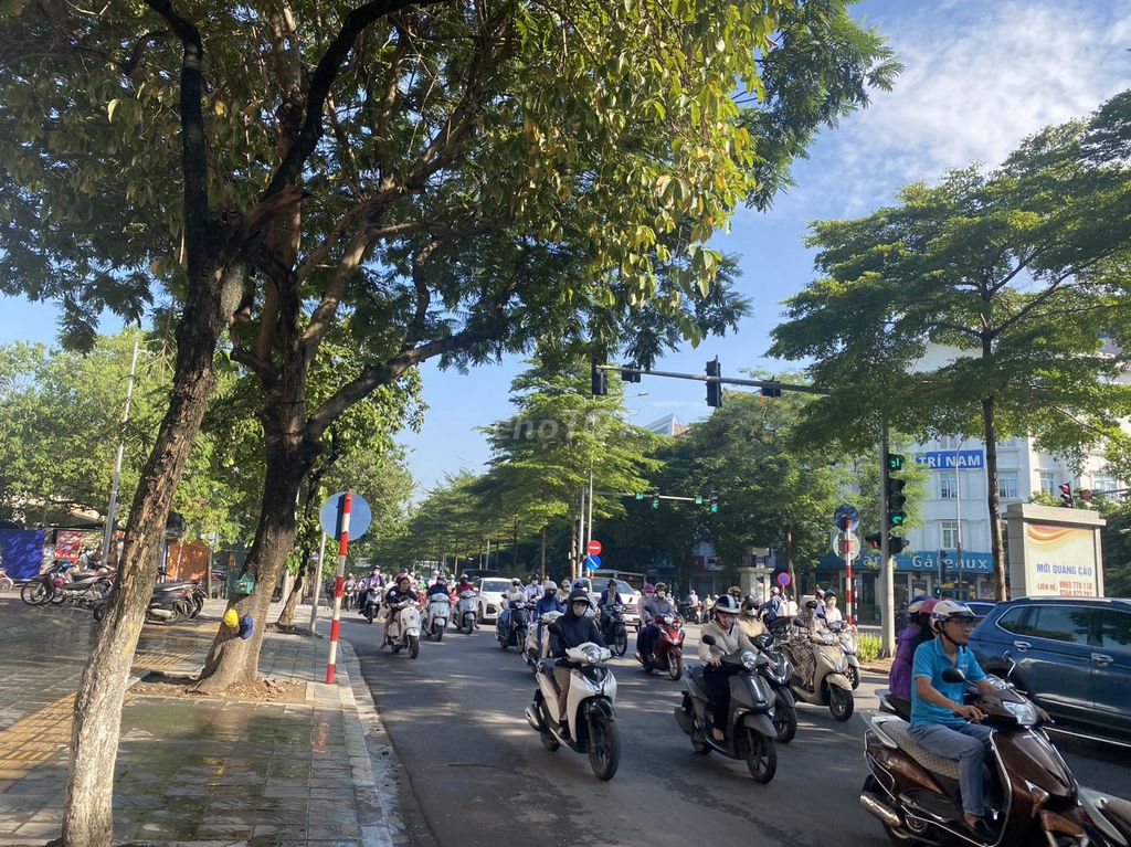 4325376 ảnh đại diện 1