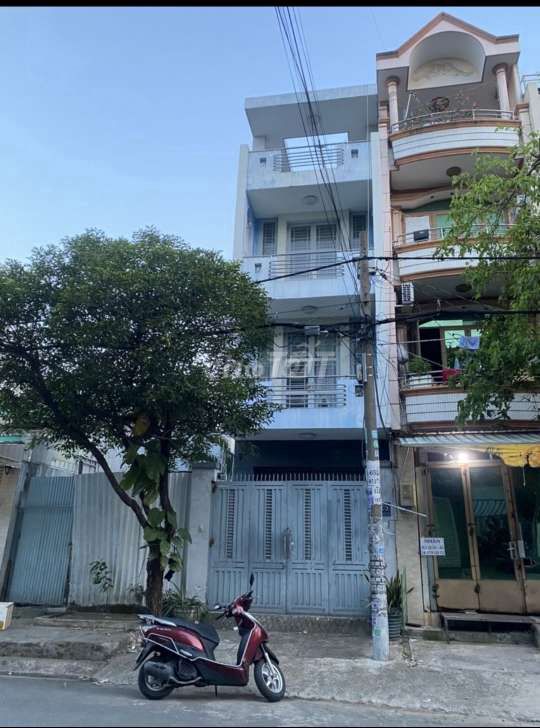 4323206 ảnh đại diện 1