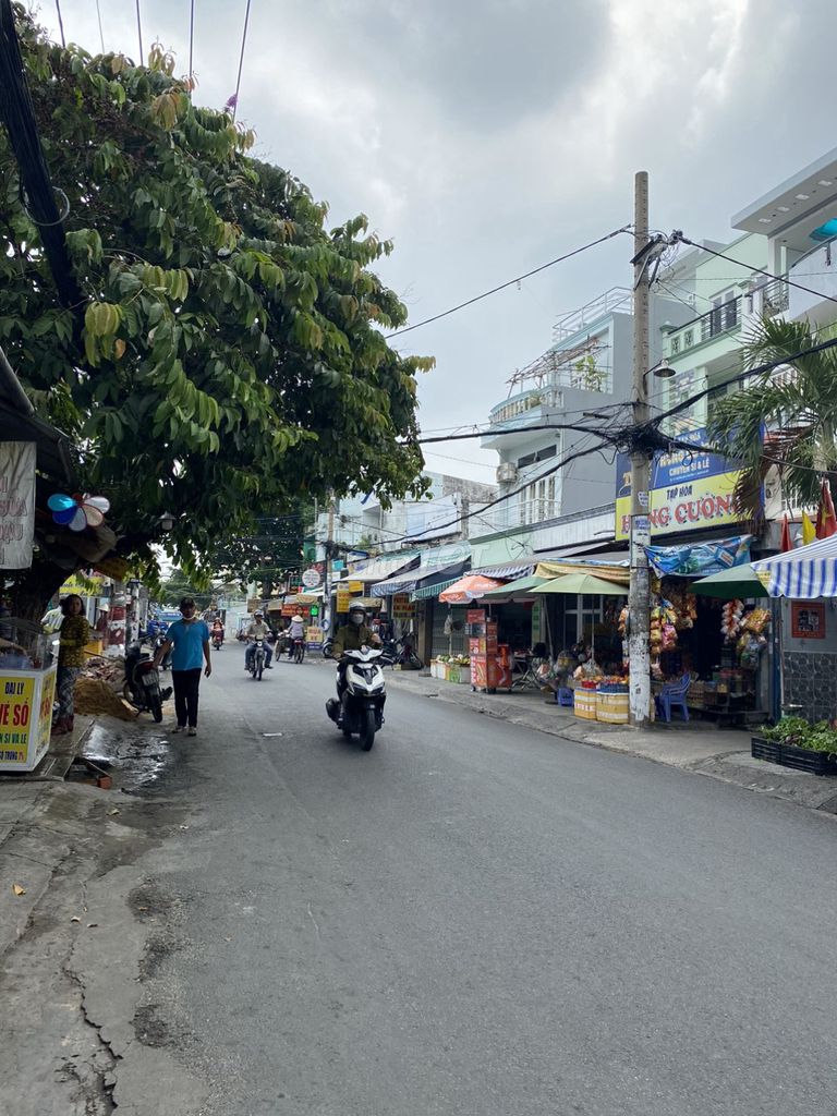 4325536 ảnh đại diện 1