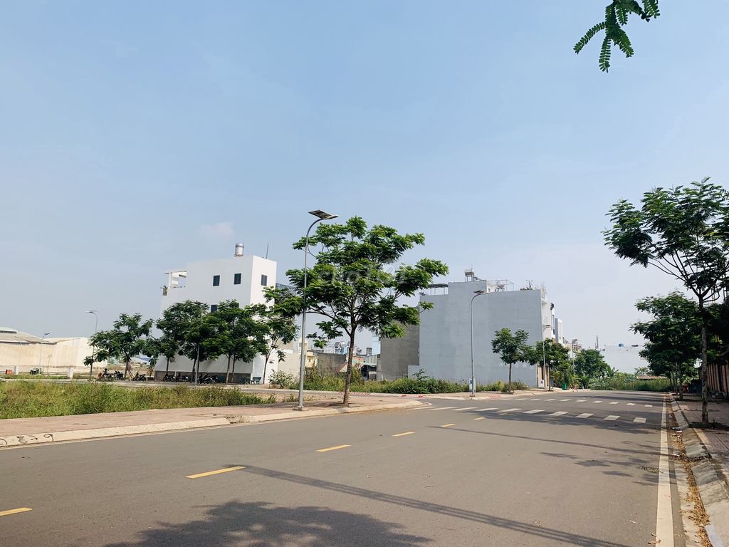 4324114 ảnh đại diện 2