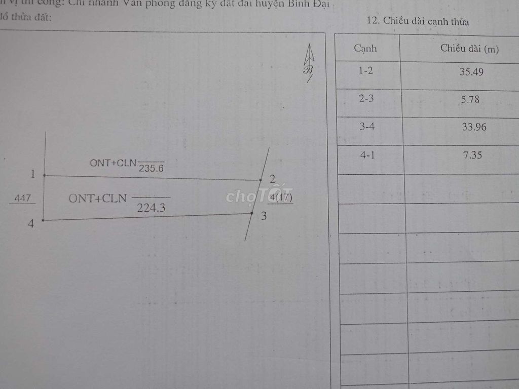 4324696 ảnh đại diện 1