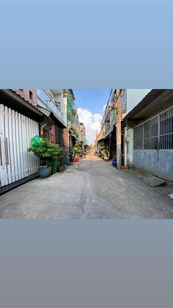 4323117 ảnh đại diện 1