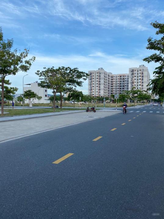 4323267 ảnh đại diện 2