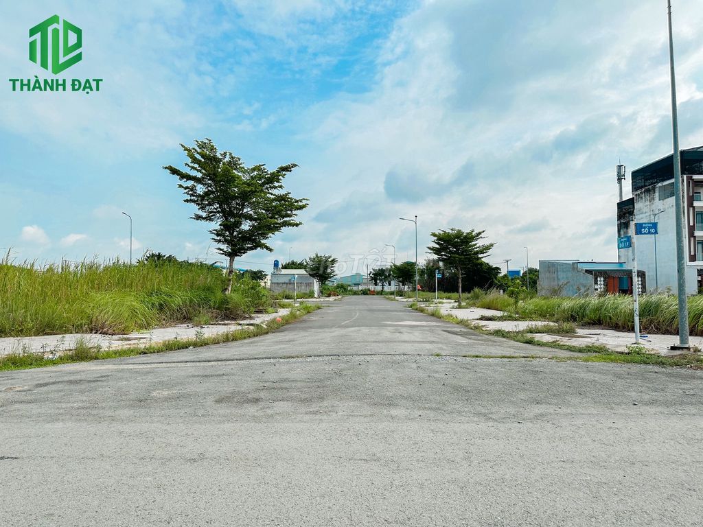 4323861 ảnh đại diện 2