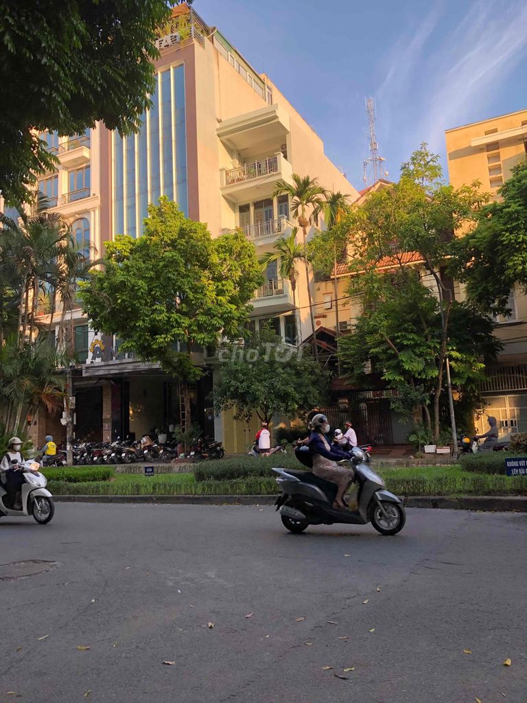 4324708 ảnh đại diện 1