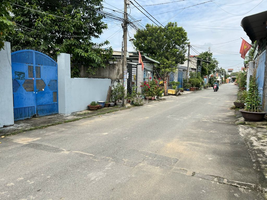 4324160 ảnh đại diện 2