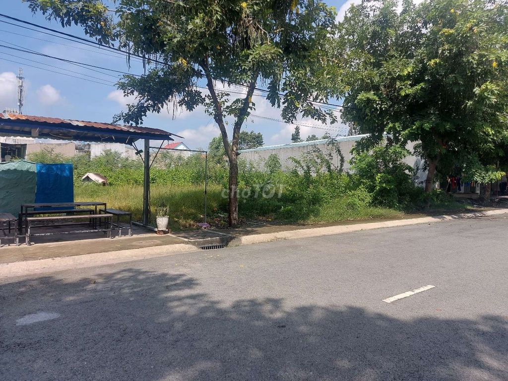 4325247 ảnh đại diện 1
