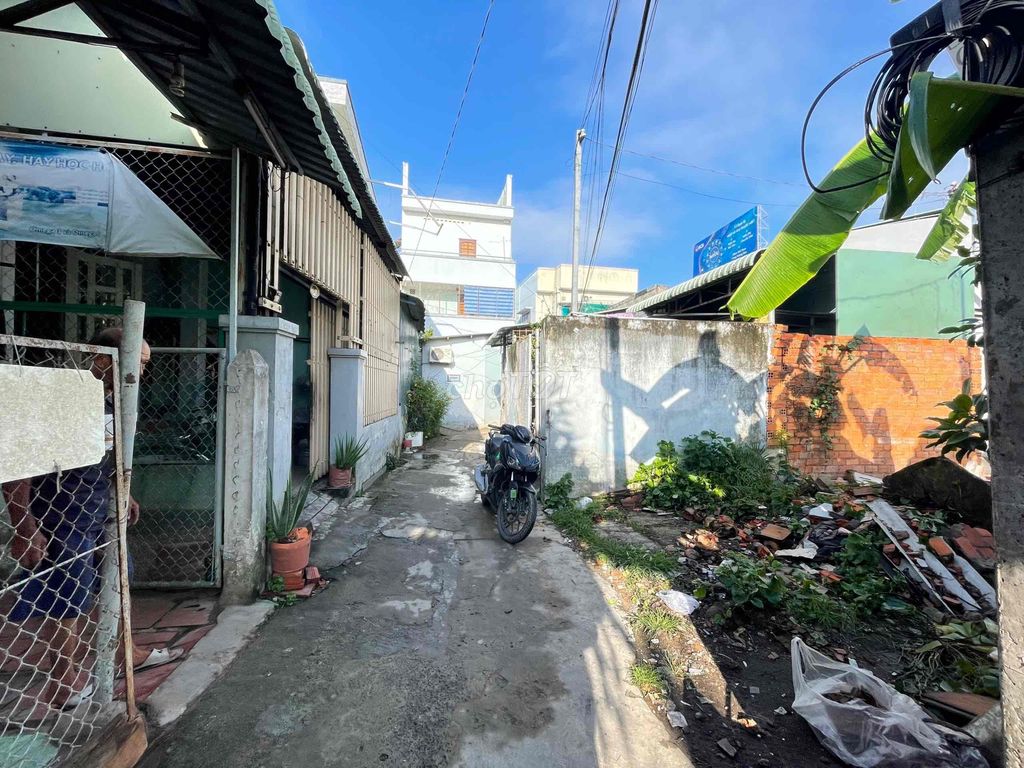 4325933 ảnh đại diện 2