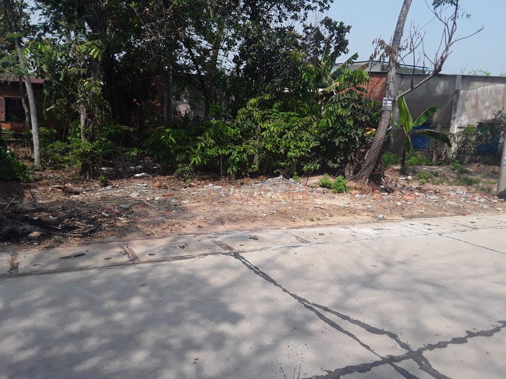 4326950 ảnh đại diện 1